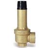 Watts Valvola di sicurezza Inail a membrana in ottone 3/4" x 1" 6 BAR Watts