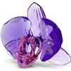 Swarovski 5669354 Idyllia SCS Petalo di Orchidea