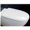 Idrotop Copriwater per FLAMINIA SPIN come ORIGINALE AVVOLGENTE TERMOINDURENTE BIANCO