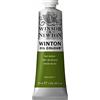 Winsor & Newton Win 1414599 Winton oil Colour, 37 ml, colore: Verde