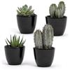 Vimin Box Set di 4 Vasi da Interno in terracotta nera Lucida | Misura 7 x 6 cm | Ideali pe