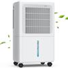 LEENON Deumidificatore Casa Muffa 16L/24h, Elettrico Deumidificatore Portatile c