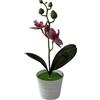 Pianta artificiale in vaso orchidea Phalaenopsis plastica 25 cm per decorazione
