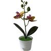 Pianta artificiale in vaso orchidea Phalaenopsis plastica 25 cm per decorazione
