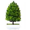 Bonsai di Pino Seta in Vaso Decorativo Altezza 22cm per Scrivania Tavolo Mensola