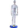 Modello dimostrativo di agopuntura medica cinese in PVC, modello di