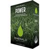 Emerald POWER, Semi per prato resistente e folto, Germinazione rapida, 1kg