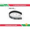 SKF 1 CINGHIA POLY-V SKF VKMV4PK735 VKMV 4PK735