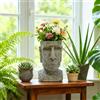 Vaso viso astratto stile vintage porta succulente espressione facciale realistic