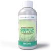 Bottos I Green Up 1 KG Concime Rinverdente Base di Azoto e Solfato di ferro Specifico