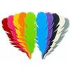 Summer-Ray Feltro summer-ray 50PCS colore misto piuma laser Cut Embellishment Value Pack