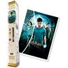 DIAMANTINY Harry Potter - Wizarding Art Big l'Ordine della Fenice - Kit crea il Mosaico, Attività Crystal Art, Diamond Painting, 1 Tela 50 x 70 cm