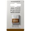 Winsor & Newton Professional - Vernici ad acquerello, vivaci e resistenti alla luce, pigmenti per artisti, 1/2 GODET, colore: Bruno Van Dyck