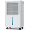 Shenzhen Cvpower Electronic Co., Ltd LEENON Deumidificatore Casa Muffa 16L/24h, Elettrico Deumidificatore