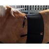 ZANDONA FASCIA DI RISPETTO ZANDONA BASIC CHAFE GUARD