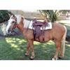 Lakota Sella Western in cuoio per Pony o Shetland completa