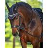 Waldhausen REDINI DA ADDESTRAMENTO TRAINING REINS SYSTEM