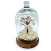Markenlos Albero in cristallo con pietre bianche nella cupola di vetro | Albero degli a...