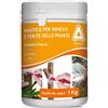 adama mastice per innesti potature 1 e 5 kg pasta cicatrizzante ferite rami piante