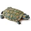 Exo Terra Isola galleggiante Tartaruga 300 g XRzP