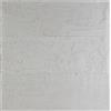 AlexandreHouse LIENZO PASTA 100X100 POSITIVO BLANCO