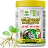 Albagarden Ormotonic Radicante - Ormone Radicante Per Talee E Piante x 1