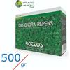 Bottos Dicondra Repens 500 gr SEMI TAPPETO ERBOSO prato dichondra zolla verde