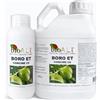 Bio A.L.T. BORO ET Concime Radicale Fogliare Olivo Vite Fioritura Allegagione