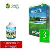 Bottos MACISTE 1 - 5 - 10 - 20 Kg seme per prato EXTRA FORTE RESISTENTE