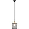 Trio Leuchten Reality, Sospensione, Calimero 1xE27