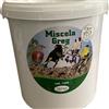 ornitalia GREG CARDELLINI KG 5
