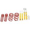 KONI Sport Kit compatibile con Ford Mustang Shelby GT500 2004-2013 - 30/40-45mm (1140-0631)