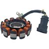Piaggio Piastra di Ancoraggio/Piastra Base accensione Statore alternatore 50 4T 4V, 1A010013