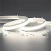 Shen zhen shi zhao lan guang dian ke ji JOYLIT 24V Striscia LED Neon 5M Bianco Luce Diurna 5000K Esterno