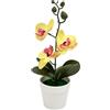 Bonsai di Orchidea Phalaenopsis Rossa a Righe Pianta Artificiale in Vaso per Cas