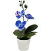 Bonsai di Orchidea Phalaenopsis Rossa a Righe Pianta Artificiale in Vaso per Cas