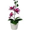 Bonsai di Orchidea Phalaenopsis Rossa a Righe Pianta Artificiale in Vaso per Cas