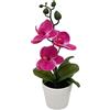 Bonsai di Orchidea Phalaenopsis Rossa a Righe Pianta Artificiale in Vaso per Cas