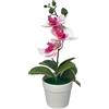 Bonsai di Orchidea Phalaenopsis Rossa a Righe Pianta Artificiale in Vaso per Cas