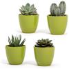 Vimin box Set di 4 Vasi da Interno in terracotta Verde Lucida | Misura 7 x 6 cm |