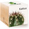 Feel Green GmbH Feel Green Ecocube Kactus, Idea Regalo sostenibile (100% Eco Friendly),