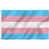 ANLEY Fly Breeze 3x5 Piedi Bandiera Transgender - Colore Vivido e Resistente Ai