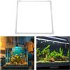 Acquario Pianta galleggiante Corral Prato trasparente Accessori per laghetto