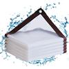 ZHBHOME Telone trasparente con occhielli, impermeabile, telo trasparente, 3 x 1