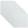 Eurowagens 12 Fogli 10mil Mylar 12 X 12 Pollici PET Milky Trasplucido Vuoto
