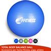 FFitness PALLA SVIZZERA ESERICIZI GINNICI GRAVIDANZA GINNASTICA PRENATALE FITBALL 55-95cm