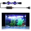 Luce di striscia LED per acquario Luce blu e bianca Lampada per acquario con