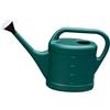 Annaffiatoio Da Giardino con Comoda Maniglia, Testa di Spruzzo, Bollitore,