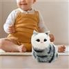 Children educativi per animali domestici interattivi per bambini gattino