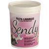 Nettuno PASTA LAVAMANI PROFESSIONALE DETERGENTE SGRASSANTE ABRASIVO OFFICINA MECCANICO